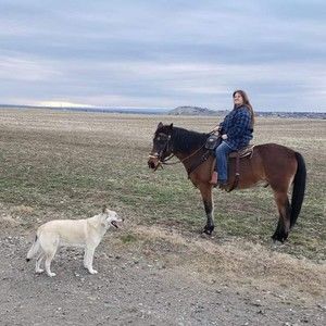 Meet your Posher, Jayne